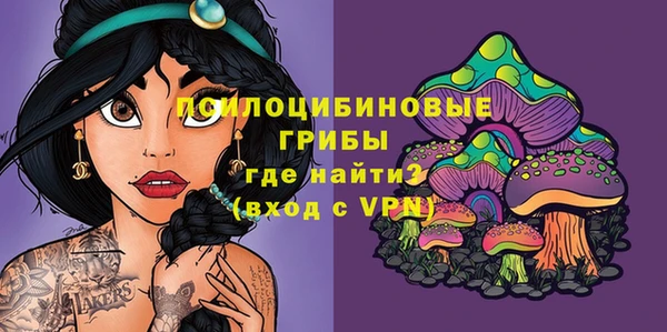 хмурый Белоозёрский