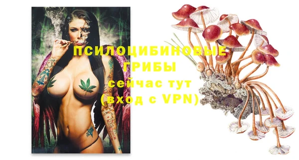 хмурый Белоозёрский