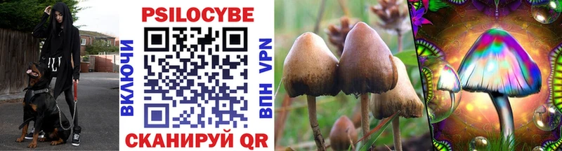 omg зеркало  Топки  Галлюциногенные грибы Cubensis  что такое  